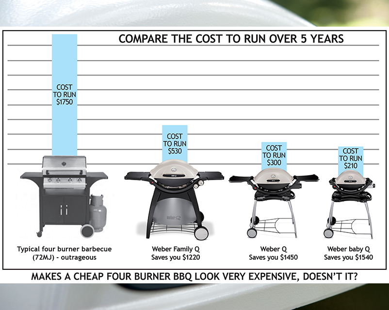 Weber q best price cheap