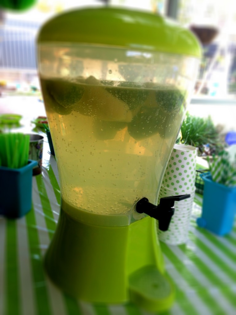 Kids Party Punch Using SodaStream