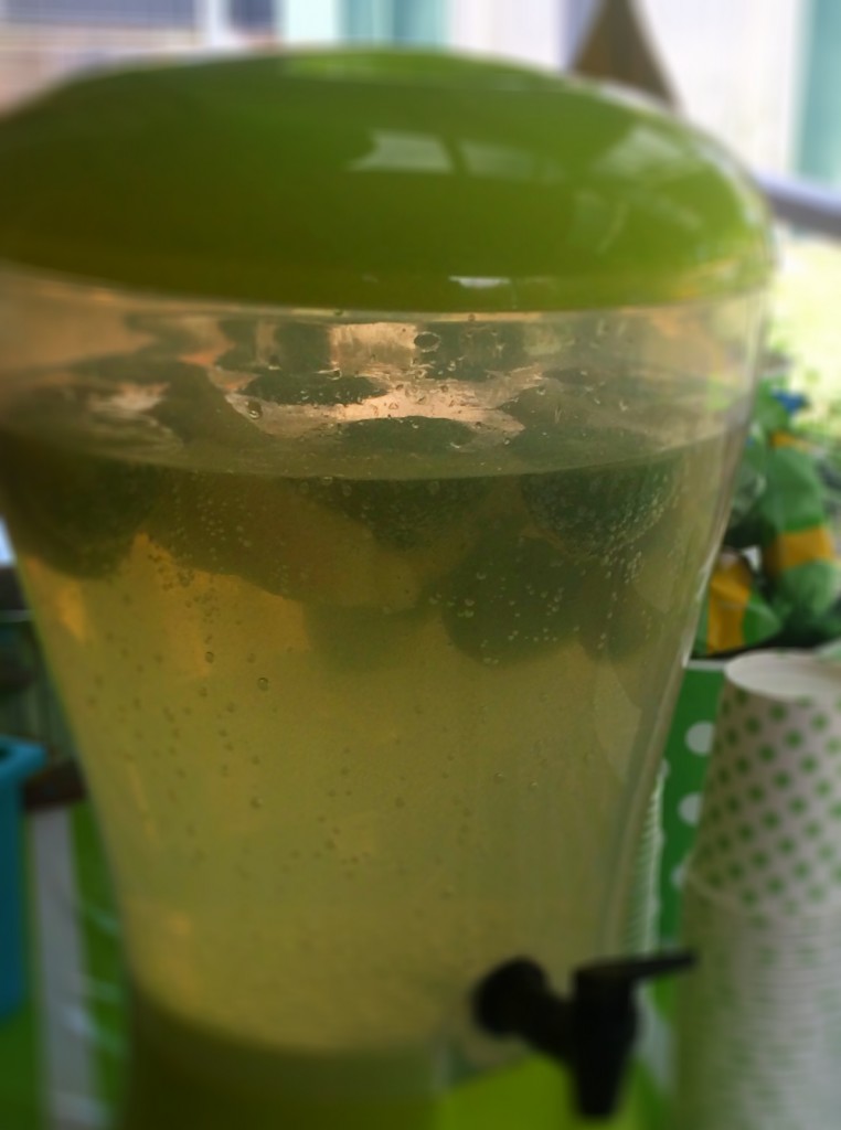 Kids Party Punch Using SodaStream