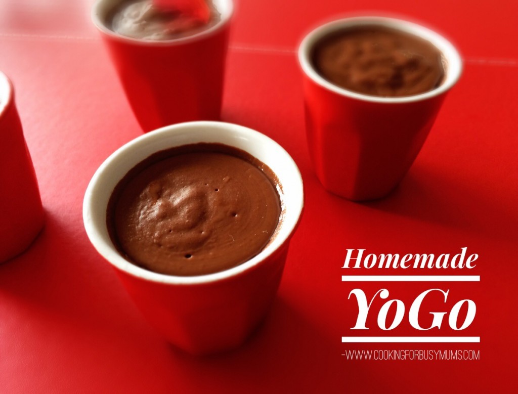 Homemade Chocolate Yogo