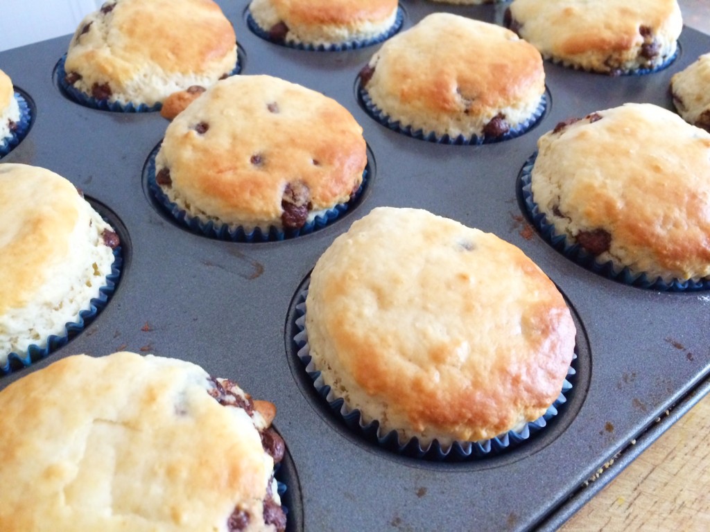 Choc Chip Muffins