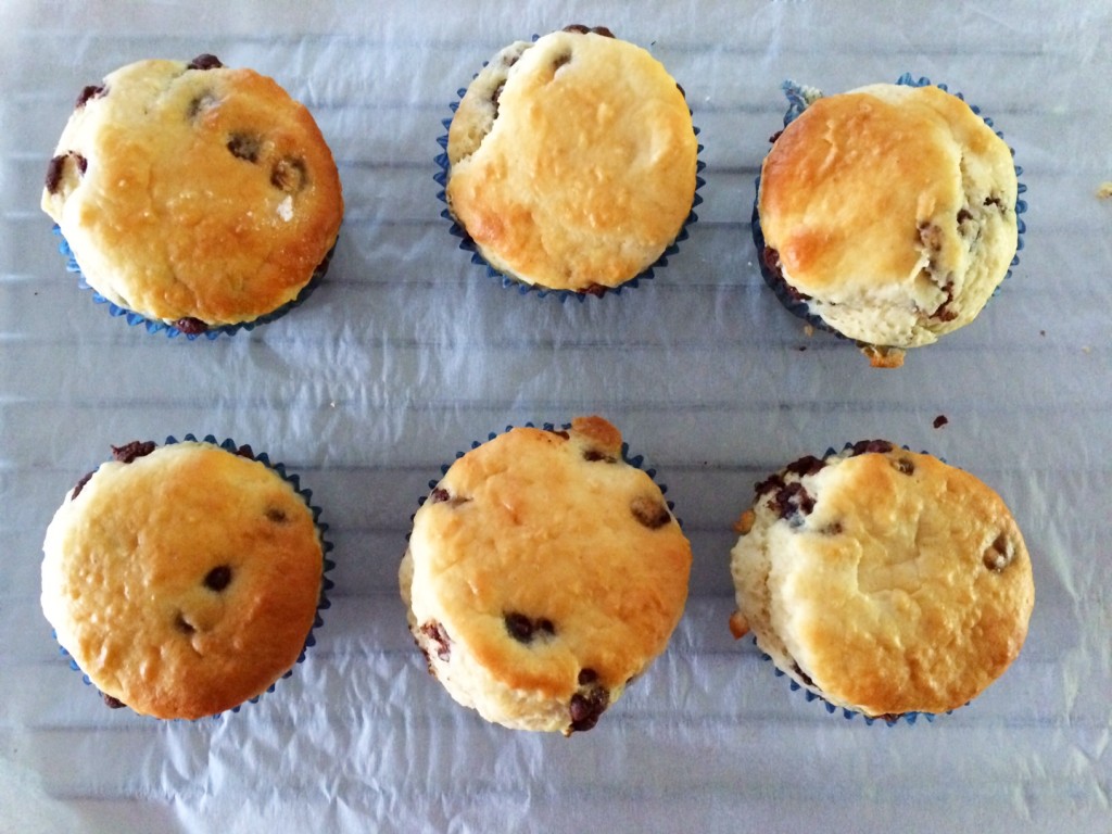 Choc Chip Muffins