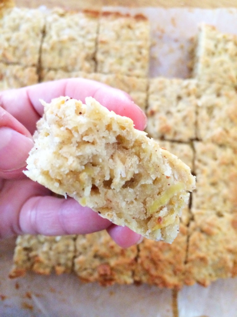 Apple and Oat Slice