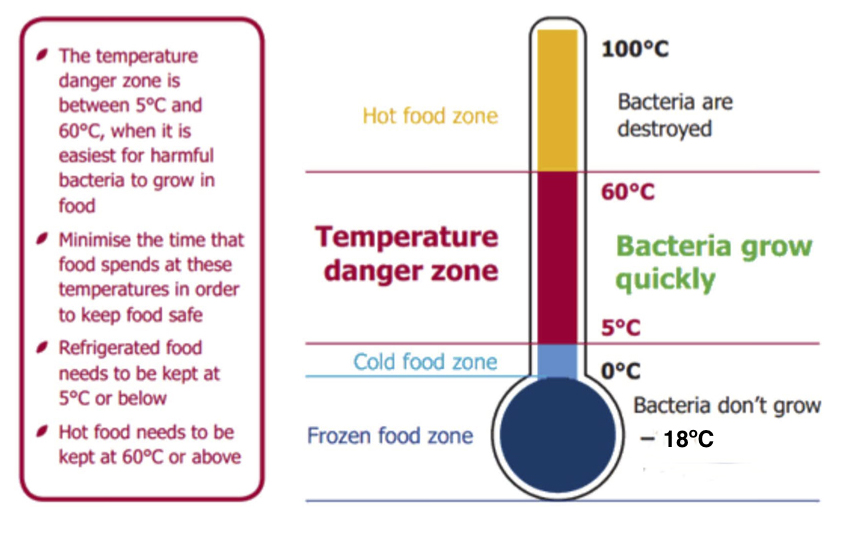 Rice Food Safety Questions About Freezing Cooked Rice This Is 