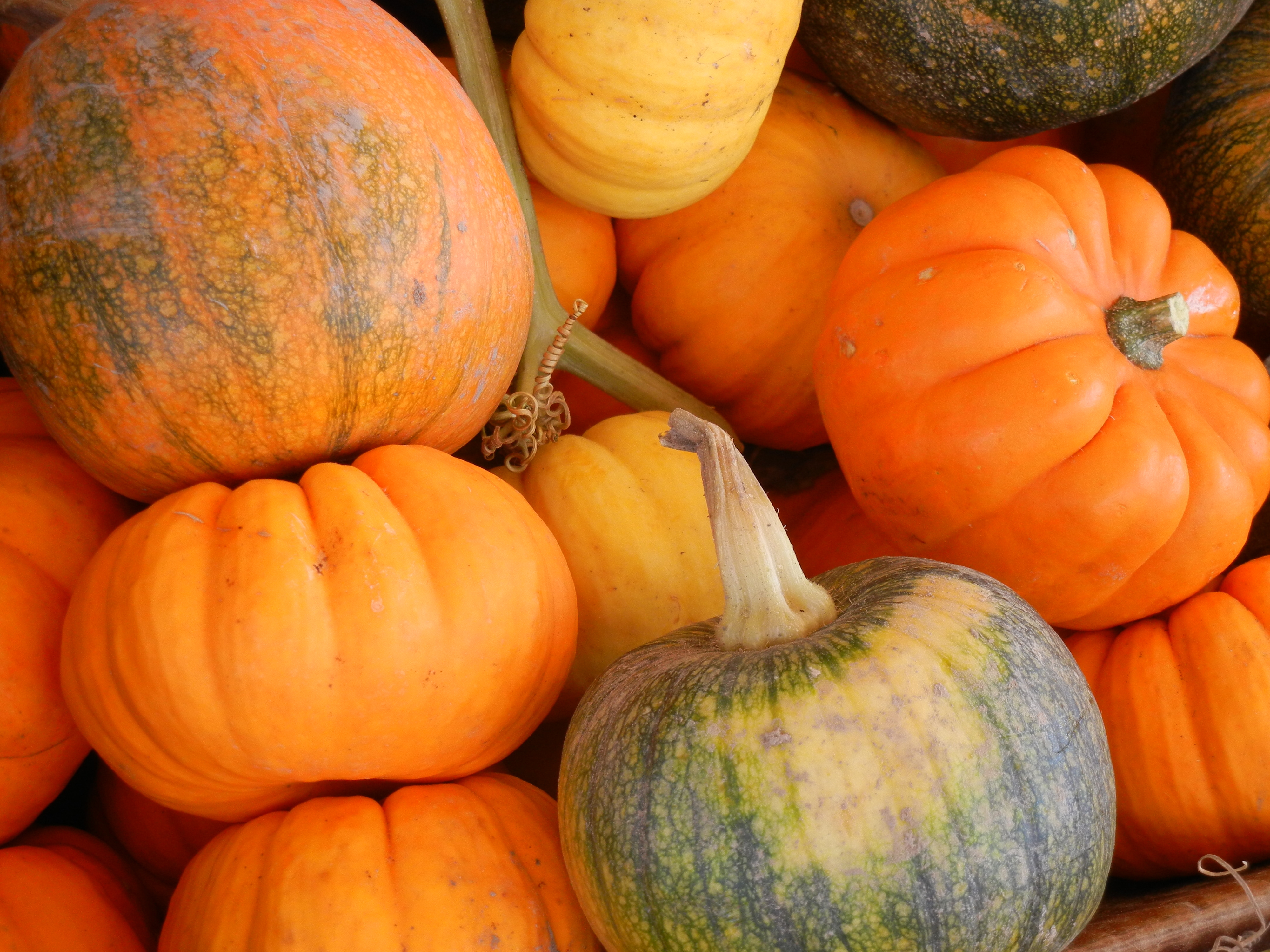 Nine Fabulous ways to get Creative with Pumpkin 