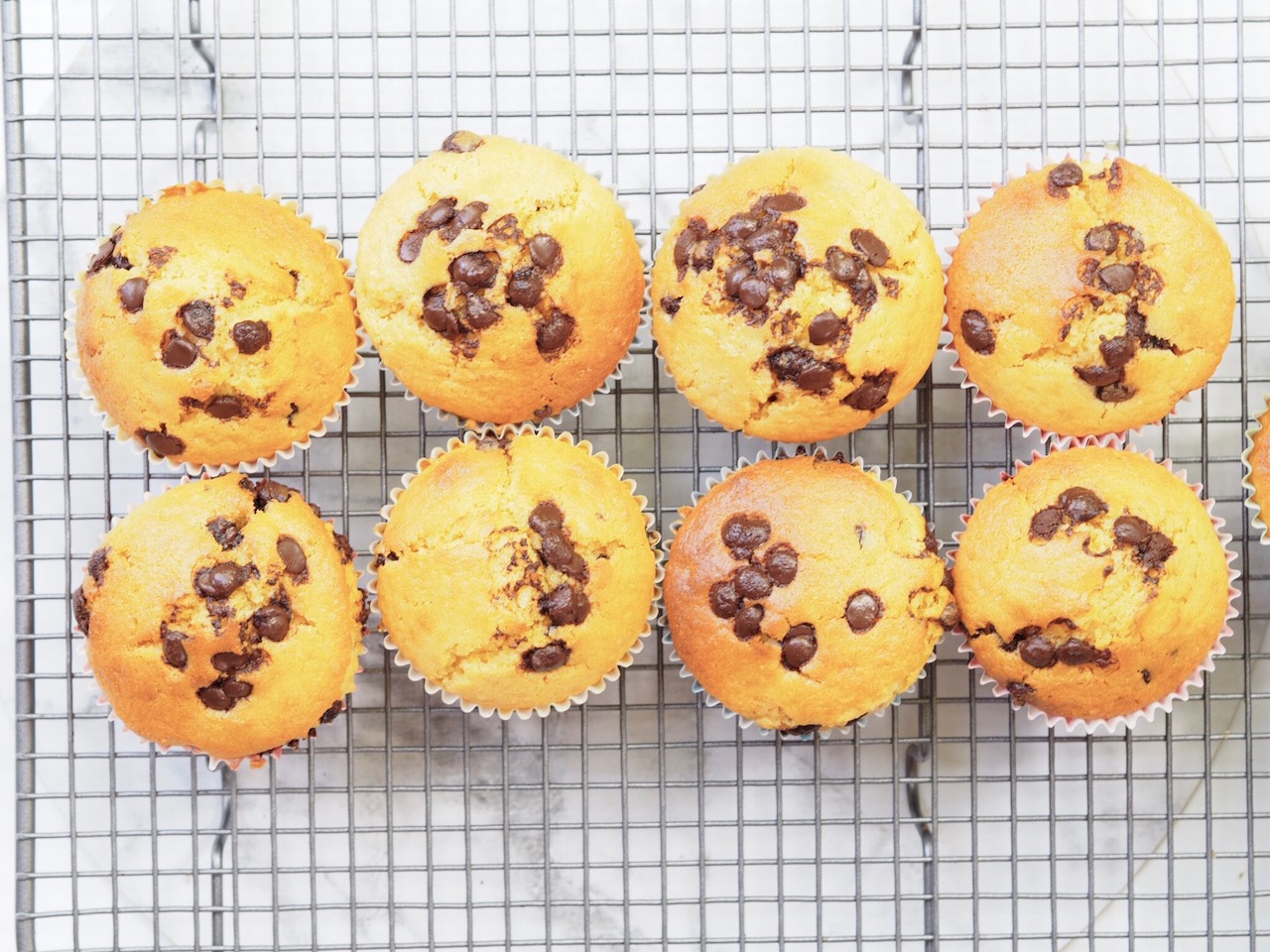 Custard Choc Chip Muffins