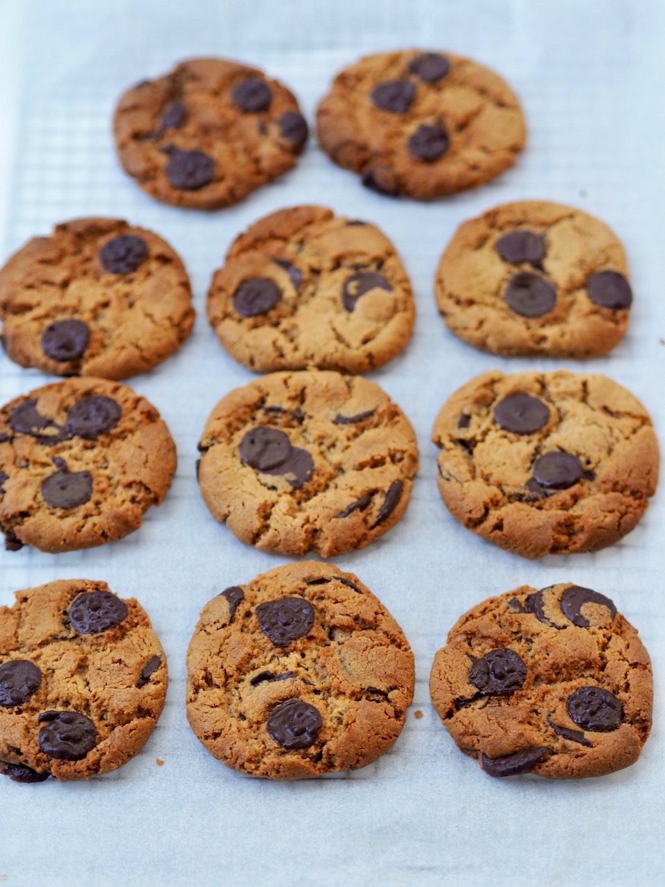 Flourless Peanut Butter and Chocolate Chip Cookies